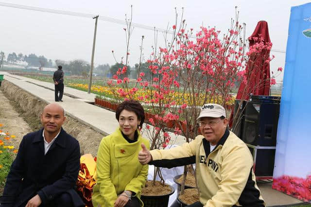 离广佛最近的高山花海，情人节男朋友不带你去就分手吧