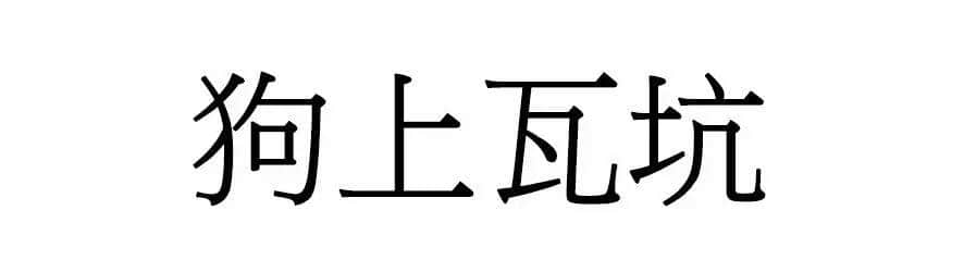 喺广州，人“狗”冇药医！