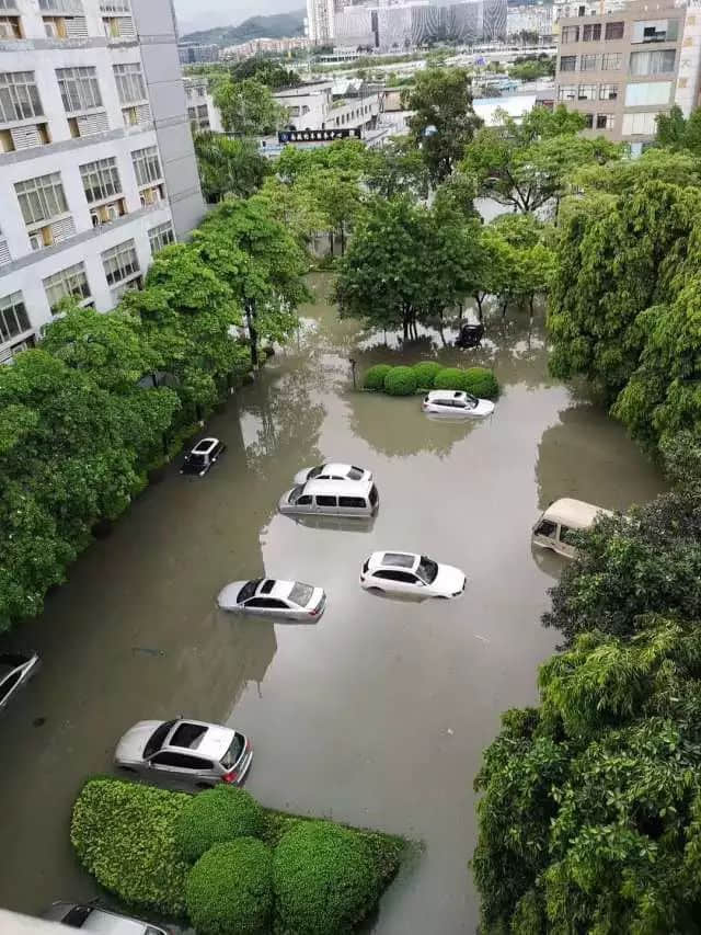 我们实名要求将今日定为“广州海洋日”