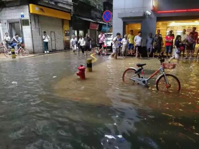 我们实名要求将今日定为“广州海洋日”