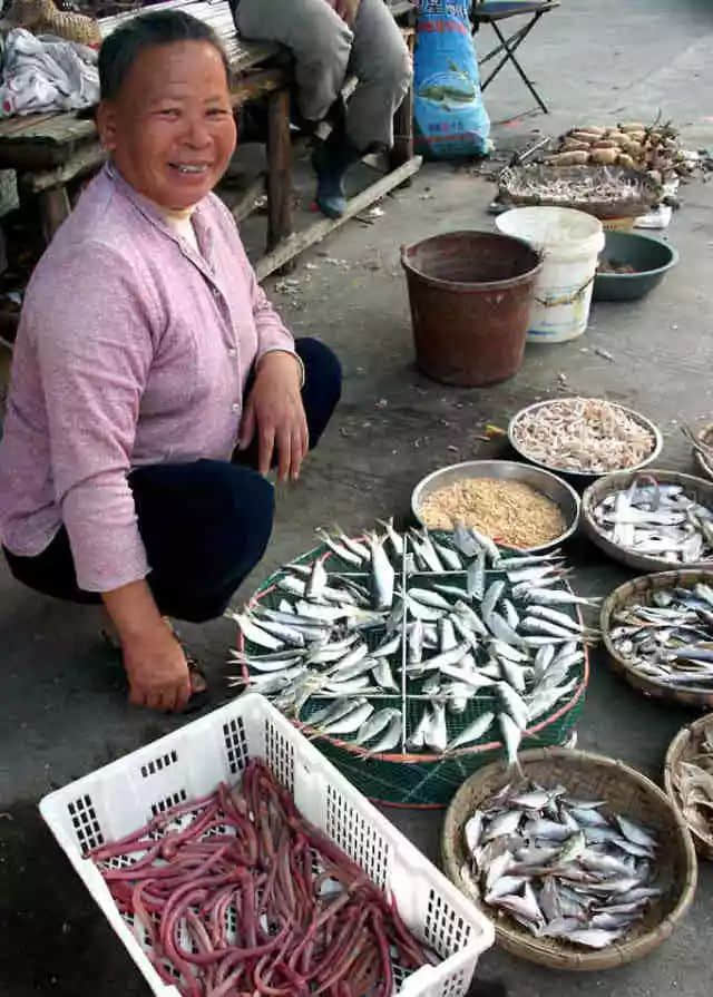 民以食为天（莫依慈）