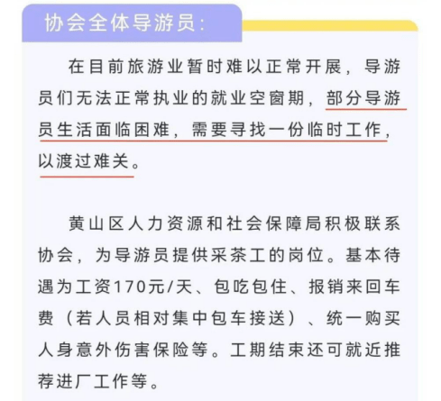 十一黄金周：大胆出游开盲盒，还是心有不甘地宅家？