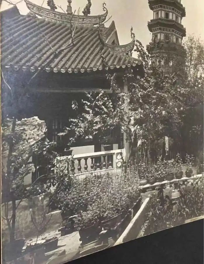 六榕寺：有风景，还有广东国画研究会 || 荔人行