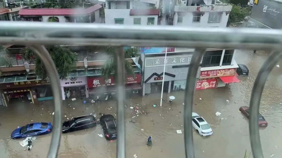 暴雨下的广州：天河有河，番禺有鱼