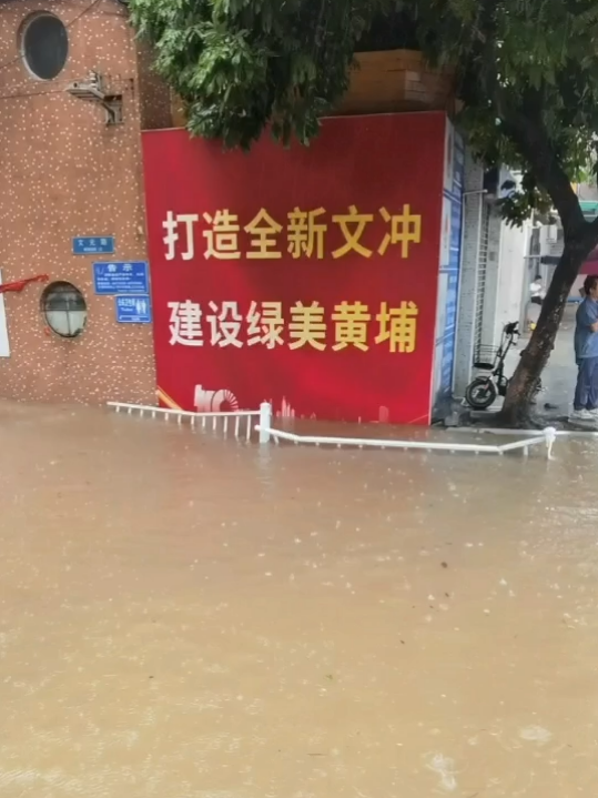 暴雨下的广州：天河有河，番禺有鱼