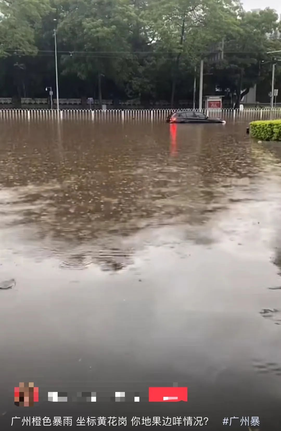 暴雨下的广州：天河有河，番禺有鱼