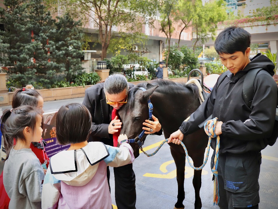 圣诞集市外宾客与马匹互动